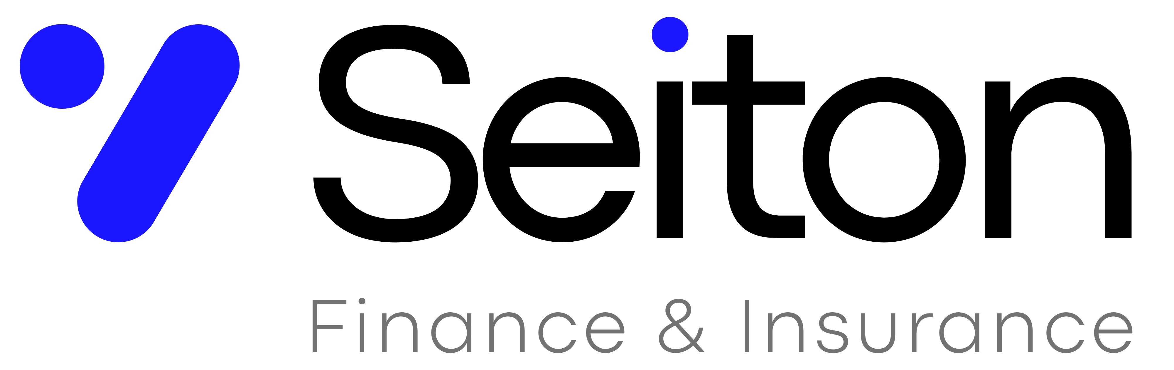 Seiton — Finance & Insurance
